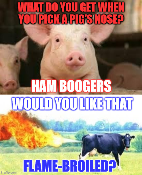 Farm humor | WHAT DO YOU GET WHEN YOU PICK A PIG'S NOSE? HAM BOOGERS; WOULD YOU LIKE THAT; FLAME-BROILED? | image tagged in pig,fire farting cow,eye roll | made w/ Imgflip meme maker
