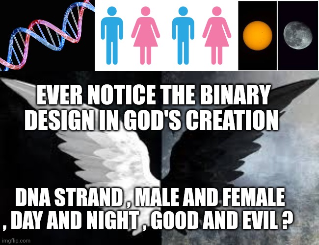 Binary design | EVER NOTICE THE BINARY DESIGN IN GOD'S CREATION; DNA STRAND , MALE AND FEMALE , DAY AND NIGHT , GOOD AND EVIL ? | image tagged in binary | made w/ Imgflip meme maker