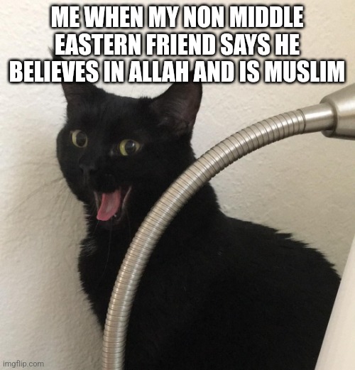 surprised happy cat | ME WHEN MY NON MIDDLE EASTERN FRIEND SAYS HE BELIEVES IN ALLAH AND IS MUSLIM | image tagged in surprised happy cat | made w/ Imgflip meme maker