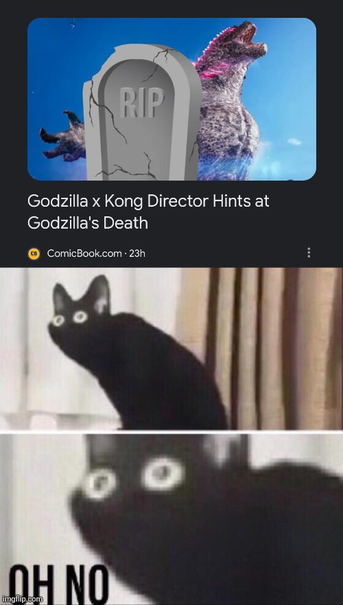 image tagged in oh no cat | made w/ Imgflip meme maker