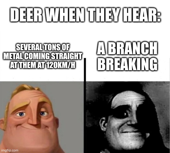 Teacher's Copy | DEER WHEN THEY HEAR:; A BRANCH BREAKING; SEVERAL TONS OF METAL COMING STRAIGHT AT THEM AT 120KM/H | image tagged in teacher's copy,deer,road safety | made w/ Imgflip meme maker