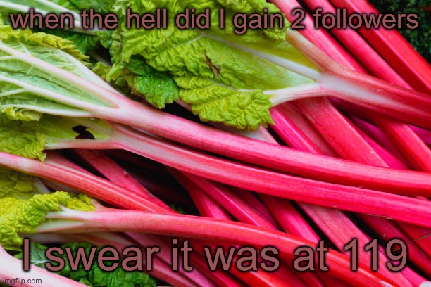 rhubarb | when the hell did I gain 2 followers; I swear it was at 119 | image tagged in rhubarb | made w/ Imgflip meme maker