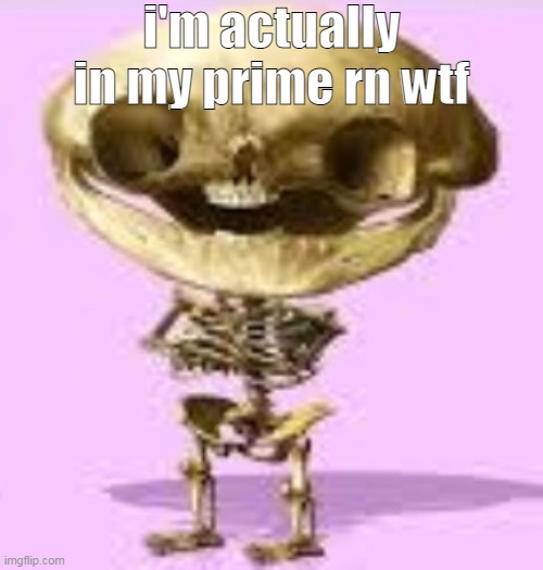 stew skull | i'm actually in my prime rn wtf | image tagged in stew skull | made w/ Imgflip meme maker