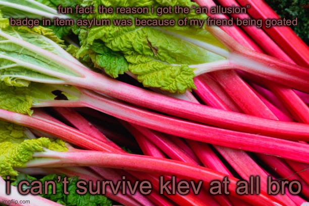 rhubarb | fun fact: the reason i got the “an allusion” badge in item asylum was because of my friend being goated; i can’t survive klev at all bro | image tagged in rhubarb | made w/ Imgflip meme maker