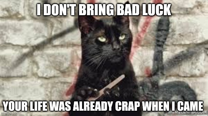 Black cat | I DON'T BRING BAD LUCK; YOUR LIFE WAS ALREADY CRAP WHEN I CAME | image tagged in black cat | made w/ Imgflip meme maker