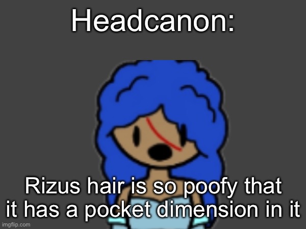 Guh | Headcanon:; Rizus hair is so poofy that it has a pocket dimension in it | made w/ Imgflip meme maker