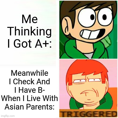 Report Card Grades | Me Thinking I Got A+:; Meanwhile I Check And I Have B- When I Live With Asian Parents: | image tagged in edd happy/triggered | made w/ Imgflip meme maker