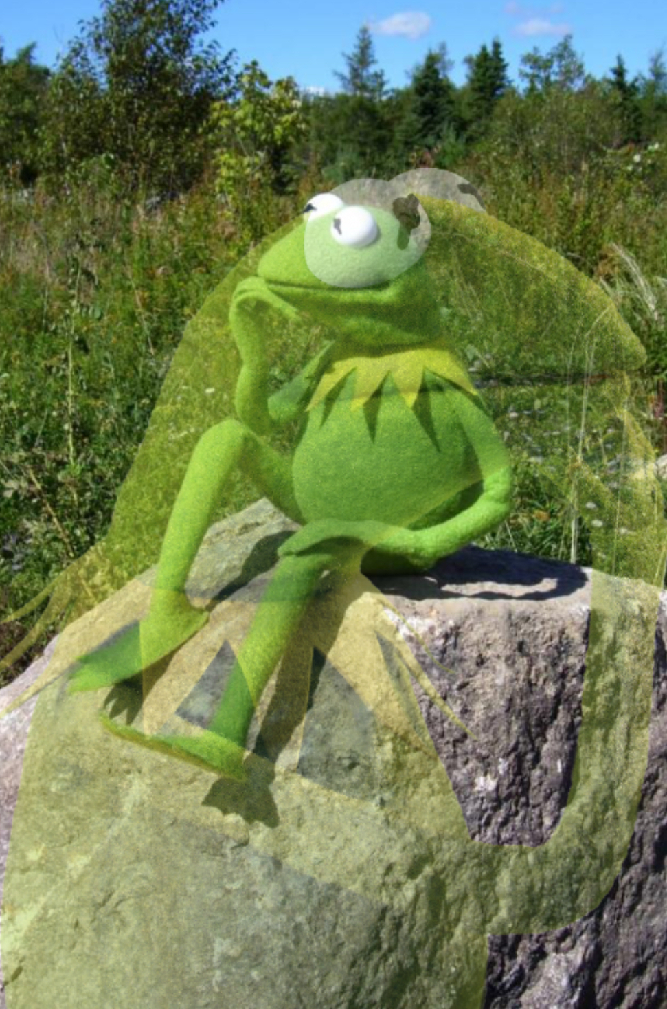 High Quality Kermit Thinking Blank Meme Template