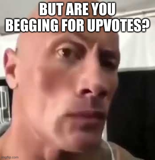 The Rock Eyebrows | BUT ARE YOU BEGGING FOR UPVOTES? | image tagged in the rock eyebrows | made w/ Imgflip meme maker