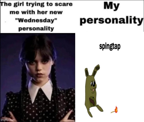 The girl trying to scare me with her new Wednesday personality | image tagged in the girl trying to scare me with her new wednesday personality | made w/ Imgflip meme maker