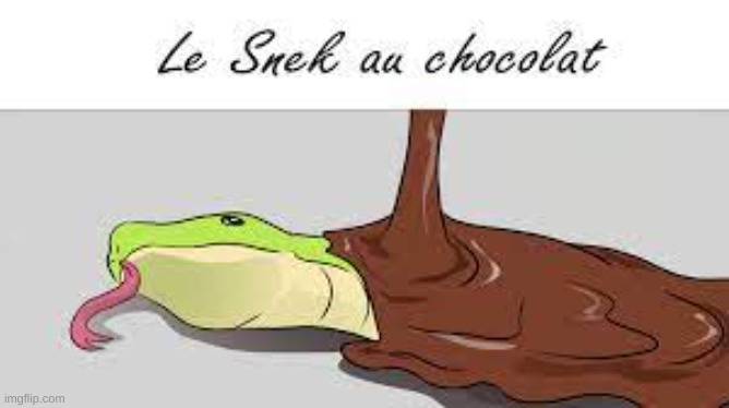 le snek au chocolat | image tagged in le snek au chocolat | made w/ Imgflip meme maker