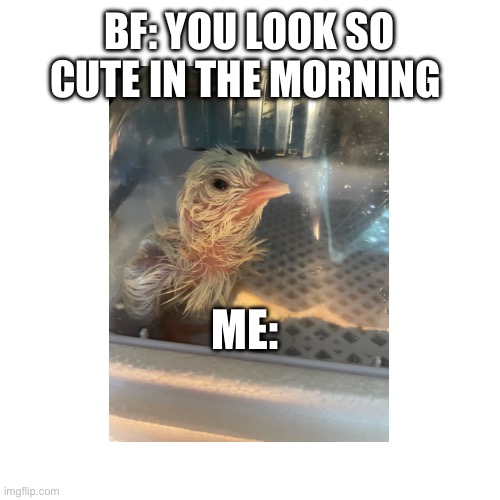 BF: YOU LOOK SO CUTE IN THE MORNING; ME: | made w/ Imgflip meme maker