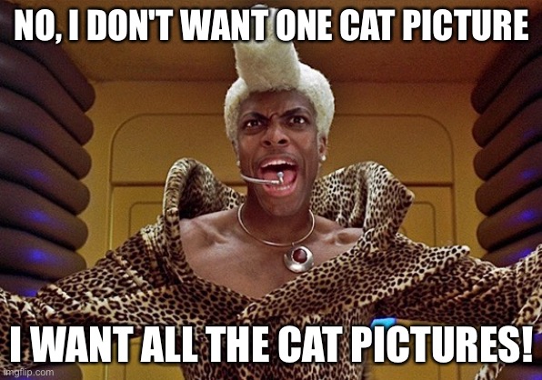 Ruby Rhod All The Cats | NO, I DON'T WANT ONE CAT PICTURE; I WANT ALL THE CAT PICTURES! | image tagged in fifth element prince | made w/ Imgflip meme maker