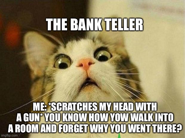 Omg | THE BANK TELLER; ME: *SCRATCHES MY HEAD WITH A GUN* YOU KNOW HOW YOW WALK INTO A ROOM AND FORGET WHY YOU WENT THERE? | image tagged in memes,scared cat | made w/ Imgflip meme maker