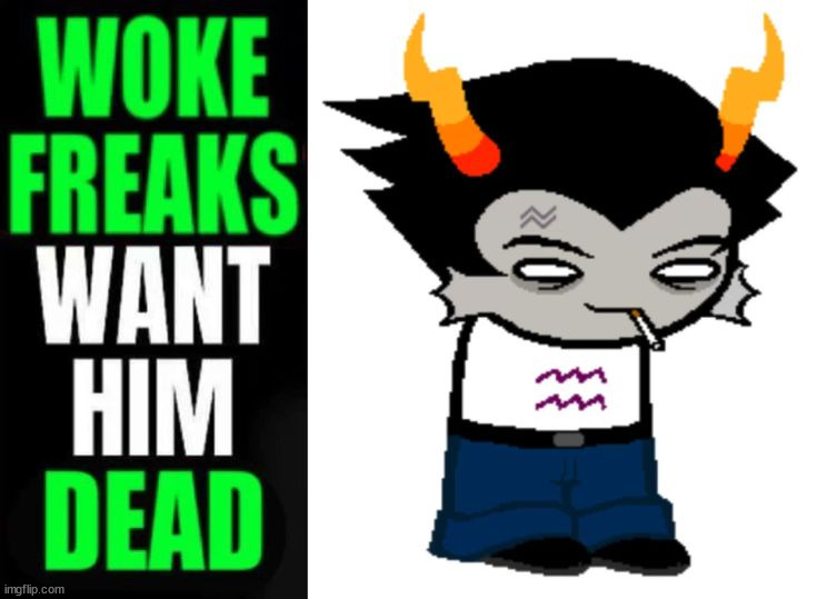 im woke freaks | made w/ Imgflip meme maker