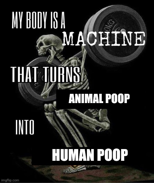My body is machine | ANIMAL POOP; HUMAN POOP | image tagged in my body is machine | made w/ Imgflip meme maker