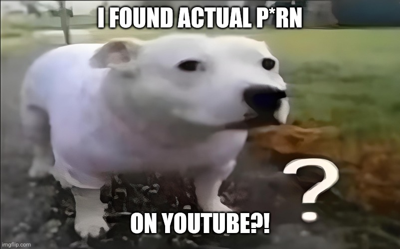 HOW THE HELL DID THIS HAPPEN?! | I FOUND ACTUAL P*RN; ON YOUTUBE?! | image tagged in huh dog | made w/ Imgflip meme maker