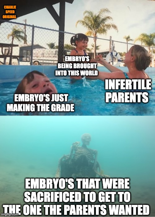 Swimming Pool Kids | CHARLIE SPEED ORIGINAL; EMBRYO'S BEING BROUGHT INTO THIS WORLD; INFERTILE PARENTS; EMBRYO'S JUST MAKING THE GRADE; EMBRYO'S THAT WERE SACRIFICED TO GET TO THE ONE THE PARENTS WANTED | image tagged in swimming pool kids | made w/ Imgflip meme maker