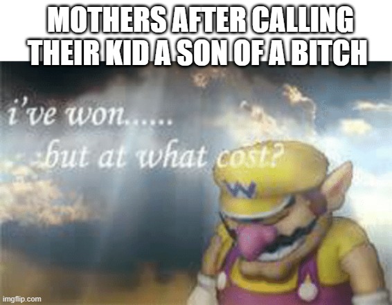 I've won but at what cost? | MOTHERS AFTER CALLING THEIR KID A SON OF A BITCH | image tagged in i've won but at what cost | made w/ Imgflip meme maker