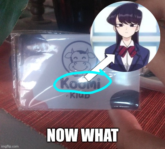 found this on the top of my fridge | NOW WHAT | image tagged in anime memes,anime girl,anime,memes,name soundalikes | made w/ Imgflip meme maker
