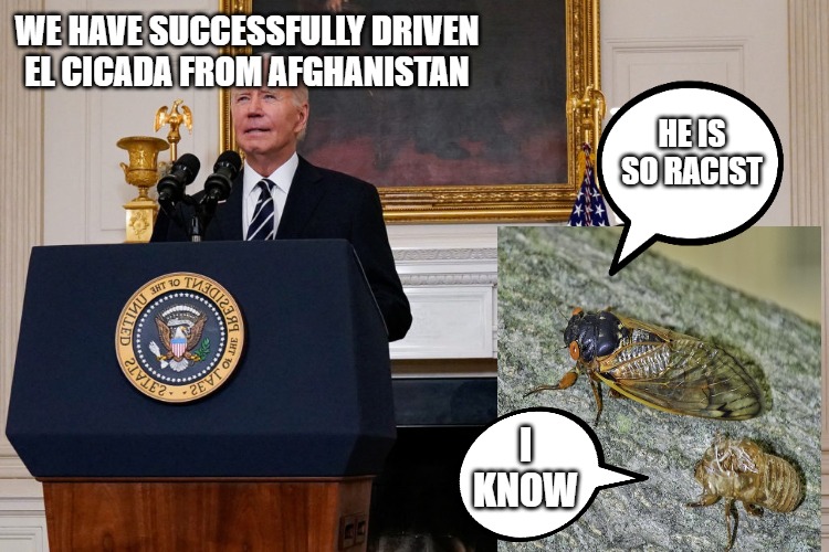 Joe Biden | WE HAVE SUCCESSFULLY DRIVEN EL CICADA FROM AFGHANISTAN; HE IS SO RACIST; I KNOW | image tagged in cicadas | made w/ Imgflip meme maker