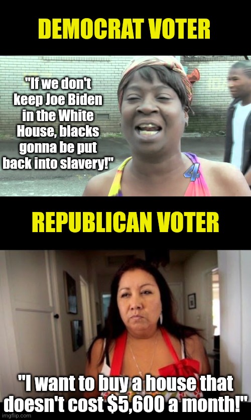 Is there a difference between Republican and Democrat voters? Yes, mostly with sanity concerns. But yes... | DEMOCRAT VOTER; "If we don't keep Joe Biden in the White House, blacks gonna be put back into slavery!"; REPUBLICAN VOTER; "I want to buy a house that doesn't cost $5,600 a month!" | image tagged in republicans,crying democrats,insanity,stupid liberals,alternate reality,voters | made w/ Imgflip meme maker