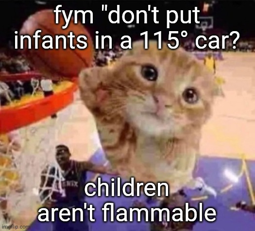 . | fym "don't put infants in a 115° car? children aren't flammable | image tagged in ballin cat | made w/ Imgflip meme maker