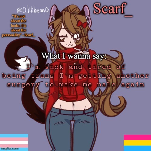 Scarf_ Announcement Template | I'm sick and tired of being trans I'm getting another surgery to make me nale again | image tagged in scarf_ announcement template | made w/ Imgflip meme maker