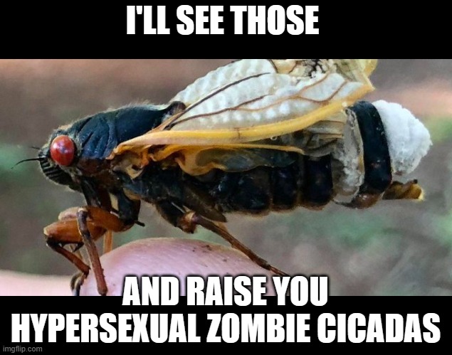 I'LL SEE THOSE AND RAISE YOU HYPERSEXUAL ZOMBIE CICADAS | made w/ Imgflip meme maker