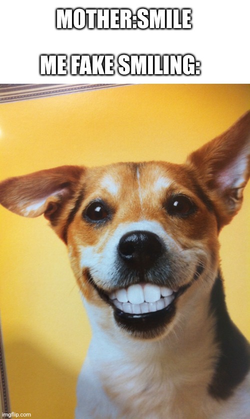 Raydog | MOTHER:SMILE; ME FAKE SMILING: | image tagged in raydog | made w/ Imgflip meme maker