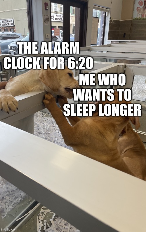 I wanna go back to bed | THE ALARM CLOCK FOR 6:20; ME WHO WANTS TO SLEEP LONGER | image tagged in dog war | made w/ Imgflip meme maker