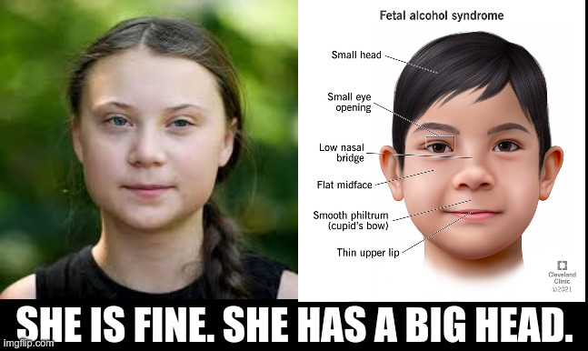 SHE IS FINE. SHE HAS A BIG HEAD. | made w/ Imgflip meme maker