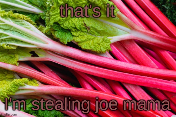 rhubarb | that's it; I'm stealing joe mama | image tagged in rhubarb | made w/ Imgflip meme maker