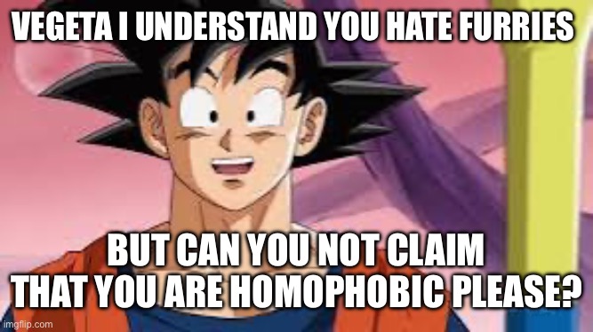 VEGETA I UNDERSTAND YOU HATE FURRIES BUT CAN YOU NOT CLAIM THAT YOU ARE HOMOPHOBIC PLEASE? | made w/ Imgflip meme maker