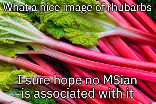 rhubarb | What a nice image of rhubarbs; I sure hope no MSian is associated with it | image tagged in rhubarb | made w/ Imgflip meme maker