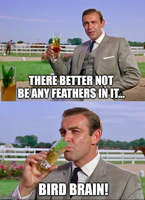 Thunderball | THERE BETTER NOT BE ANY FEATHERS IN IT... BIRD BRAIN! | image tagged in thunderball | made w/ Imgflip meme maker
