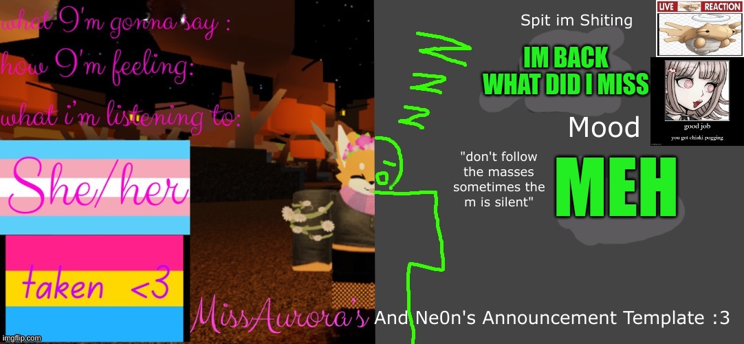 Aurora and neon shared template | IM BACK WHAT DID I MISS; MEH | image tagged in aurora and neon shared template | made w/ Imgflip meme maker