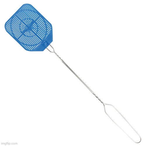 Fly swatter | image tagged in fly swatter | made w/ Imgflip meme maker