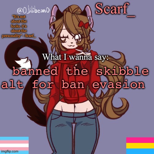 Scarf_ Announcement Template | banned the skibble alt for ban evasion | image tagged in scarf_ announcement template | made w/ Imgflip meme maker