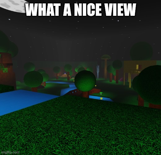 WHAT A NICE VIEW | image tagged in roblox | made w/ Imgflip meme maker