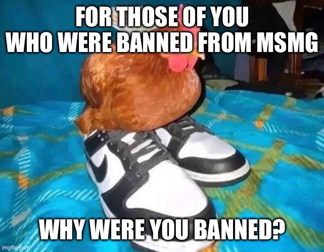 I’m not a mod unfortunately, but I do know MSMG will unjustly ban people sometimes | FOR THOSE OF YOU WHO WERE BANNED FROM MSMG; WHY WERE YOU BANNED? | made w/ Imgflip meme maker