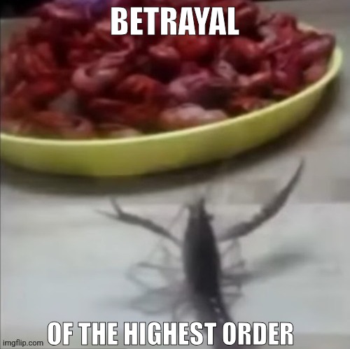 BETRAYAL; OF THE HIGHEST ORDER | made w/ Imgflip meme maker