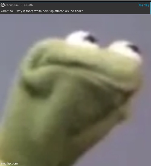 Hol’ up | image tagged in hmmm kermit | made w/ Imgflip meme maker