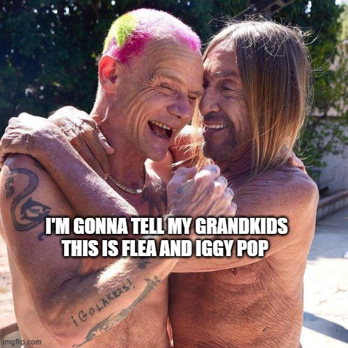 Flea and Iggy Pop | I'M GONNA TELL MY GRANDKIDS THIS IS FLEA AND IGGY POP | image tagged in flea,bass,red hot chili peppers,iggy pop,punk,funny | made w/ Imgflip meme maker