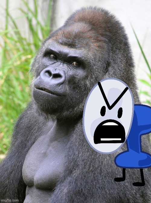 Hot Gorilla  | image tagged in hot gorilla | made w/ Imgflip meme maker