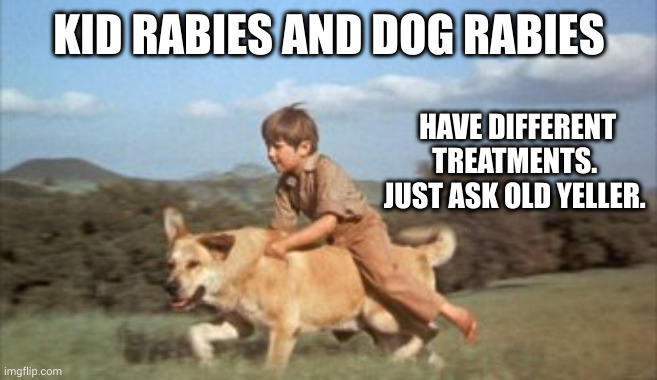 Dogs and kids ain't equal | KID RABIES AND DOG RABIES; HAVE DIFFERENT TREATMENTS. 
JUST ASK OLD YELLER. | image tagged in old yeller,memes,rabies treatment,dogs,best medical care in america,execution | made w/ Imgflip meme maker