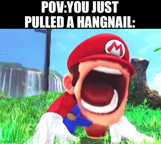 Mario screaming | POV:YOU JUST PULLED A HANGNAIL: | image tagged in mario screaming | made w/ Imgflip meme maker