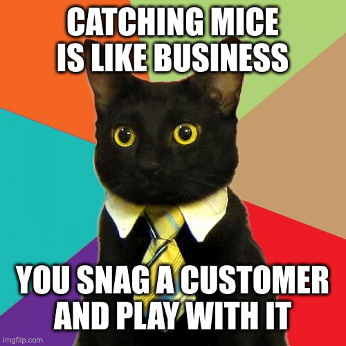 Capitalism is a predatory business | CATCHING MICE IS LIKE BUSINESS; YOU SNAG A CUSTOMER AND PLAY WITH IT | image tagged in memes,business cat,catching mice,predator,annoying customers,bait and switch | made w/ Imgflip meme maker