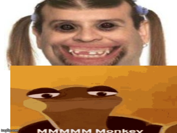 Idk I was Bored | image tagged in monke,master oogway,drunken ass monkey,idk,rofl,why are you reading this | made w/ Imgflip meme maker