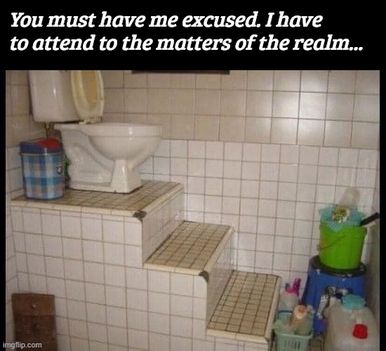 You must have me excused. I have to attend to the matters of the realm... | image tagged in funny,funny picture | made w/ Imgflip meme maker